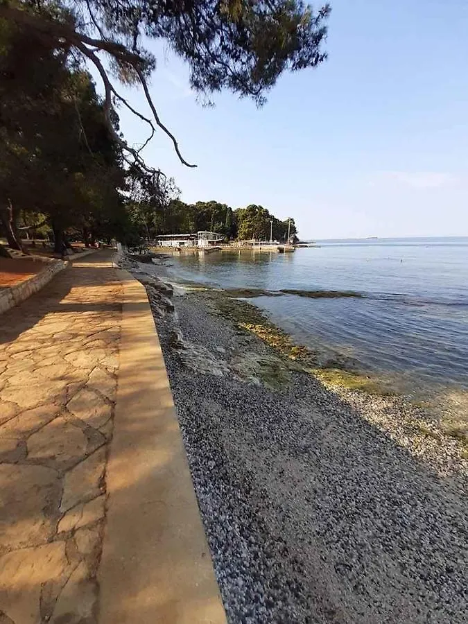 Apartment In Porec/Istrien 38512