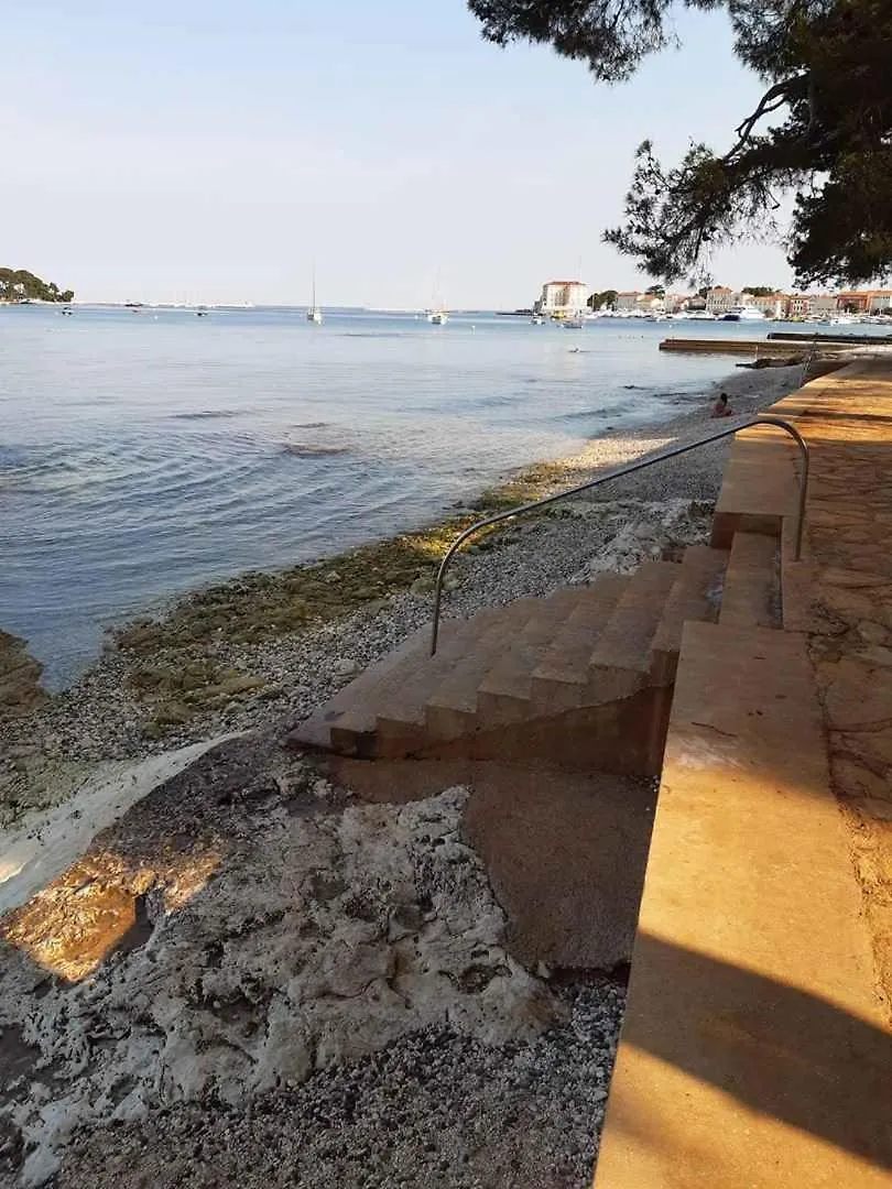 Apartment In Porec/Istrien 38512